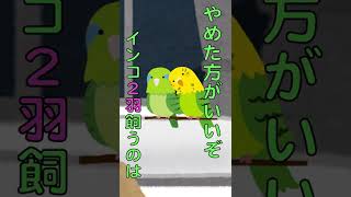 【2ch笑えるコピペ】インコ【2chコピペまとめ】#2ch笑えるコピペ #2chコピペまとめ #ゆっくり