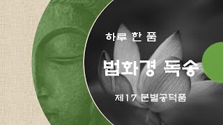 [하루 한 품] 법화경 독송 - 제17 분별공덕품