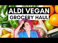 ALDI VEGAN GROCERY HAUL for TWO ($90)