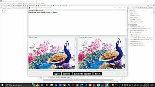 Image Steganography using JAVA | Project Walkthrough