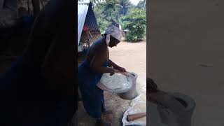 Winnowing rice with a wooden tray