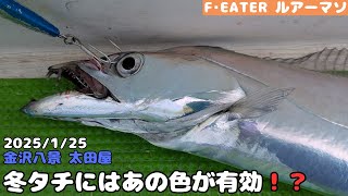 [太田屋]今年の冬タチはこう狙います‼︎[東京湾タチウオジギング]