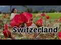 Why Switzerland will Surprise You,Truth of Switzerland No one Told You,Switzerland under Budget,