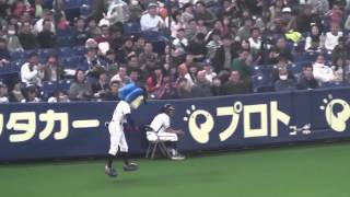 ドアラのほうき芸とバク転占い 2013年３月２４日　ロッテ戦