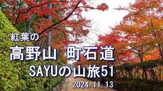 【紅葉の高野山 町石道】　高野山は綺麗な紅葉でした。SAYUの山旅51　2024.11.13