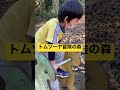 【トムソーヤ冒険の森】幼児の時に遊んだ乗り物で遊んだよ♪ 兄弟仲良し♪ 9歳のトレーシーと8歳のスティーブ 横浜つくし野フィールドアスレチック shorts ninjya brother