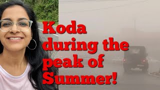 Koda during the peak of Summer | Kuttikkanam | Idukki | Magical Mist