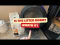 Is the Litter Robot Worth It? My answer might surprise you!