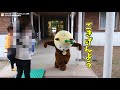 【みやざき犬】ひぃの「ごきげんよう」ポーズ研究 201905宮崎県宮崎市