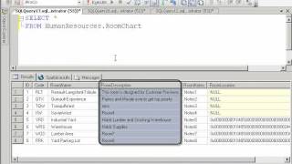 SQL2008DevVol4 Lab1 2 UniqueConstraintsGoodVideo