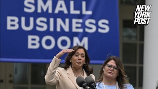 Kamala Harris stumbles when pressed on specifics of small business plan