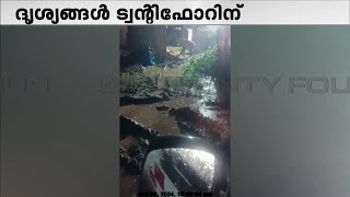 വയനാട് കേണിച്ചിറയിൽ വീണ്ടും കടുവ; മാളിയേക്കൽ ബെന്നിയുടെ വീട്ടിലെ തൊഴുത്തിലാണ് കടുവയെത്തിയത്