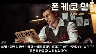 폰케코인전망 솔라나 기반 밈코인 리플 엑스알피 묻지도 따지지도 않고 브라질 ETF 승인 그리고 폰케 반등중! 늦지 않았어요!