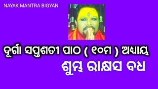 || ଦୂର୍ଗା ସପ୍ତଶତୀ ପାଠ || (୧୧ତମ) ଭାଗ || ଶୁମ୍ଭ ରାକ୍ଷସ ବଧ||