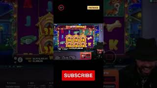 RECORD WIN OF THE WEEK ★ $2 125 950 EPIC MASSIVE WIN ON The Dog House Slot ROSHTEIN #shorts