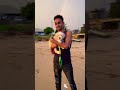 මෙයත් දග මල්ලක් තමයි ඉතිං dogs dogslover dogshorts love beach sunset evening cute fypシ sun