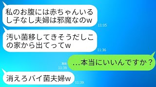 義妹が里帰り出産の際、私たち子なし夫婦をバイ菌扱いして家から追い出した。「私の子供に汚い菌を移すな！」と彼女が言ったため、私たちは夫婦で出て行くことにしました。