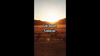 Life Quotes #shorts #shortvideo #quotes