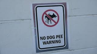 No Dog Pee Warning Sign Good Luck With That Los Angeles California USA September 29, 2024