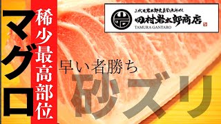 【あのマグロどうなった？】積丹マグロって本当に美味いのか？