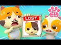 Where Are My Babies？| Play Safe | Safety Cartoon | Cartoon for Kids | Mimi and Daddy