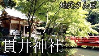 地元さんぽ　〜貫井神社〜