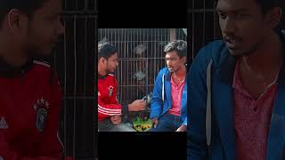 ১০০ টি কবুতরের জন্য কি পরিমান খাবার লাগে..#viral #কবুতর #pigeon #highlights #fancy #pigeonforge