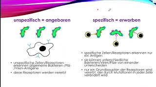 Immunsystem - Grundlagen für Biologie und Medizin