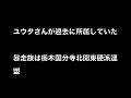 亀田興毅とボクシング勝負、ユウタ 元総長 はどこの暴走族？職業は？家族 嫁子供 もチェック！