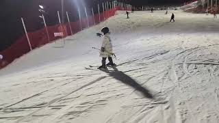 241215 엘리시안 강촌 드래곤 및 래빗 슬로프 25 #skiing #snow