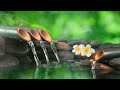 Relaxing Music 24/7, Stress Relief Music, Sleep Music, Meditation Music, Study, Flowing Stream