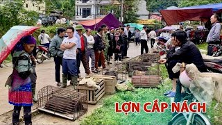 CHỢ MƯỜNG HUM LÀO CAI - PHIÊN CHỢ MIỀN NÚI TÂY BẮC MỘC MẠC & BÌNH YÊN - BÁN NHIỀU ĐẶC SẢN NÚI RỪNG
