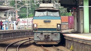 JR貨物　セノハチを往くゼロロクEF66-21牽引貨物列車　JR八本松駅