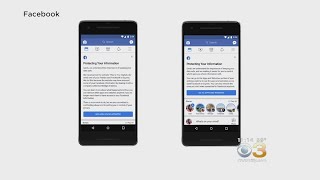 Was Your Facebook Data Shared With Cambridge Analytica? You Can Now Find Out
