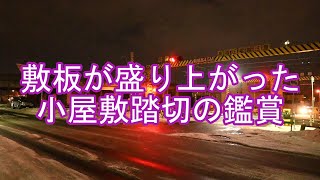 敷板が浮き上がった小屋敷踏切の鑑賞　20250120