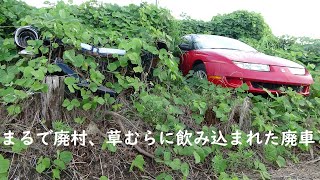 まるで廃村、草ヒロ（草むらのヒーロー）廃車多数発見！！　歴代スカイラインGT-R　アンフィニRX-7 FD3S　フェアレディZ　セルシオ　カマロ　ランサーエボリューション　レグナム　インスパイア