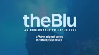 theBlu: An Underwater VR Experience