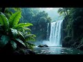 tropical ambience for relaxing serene rainforest vibes perfect for stress relief