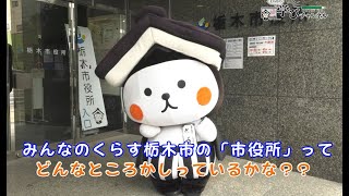 ［栃木市役所見学動画］市役所ってどんなところ？