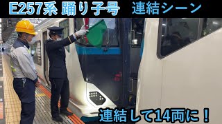 【E257系】踊り子号 熱海駅で連結