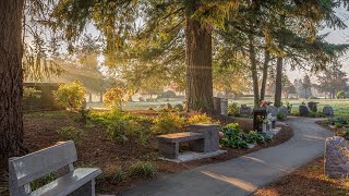 What options are available in the cemetery when cremation is chosen?