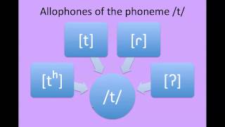 Phonology