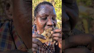 That's breakfast😋 Root's Food, Chief hadzabe eating their food.#bushmen #africa