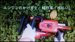 チェーンソー【エンジンのかけ方と、軽作業「枝払い」】