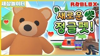 [로블록스] 정글 펫이 생겼어요!!🌿 귀여운 곰돌이랑 앵무새도 있어요! 입양하세요 13화(Roblox Adopt Me!)