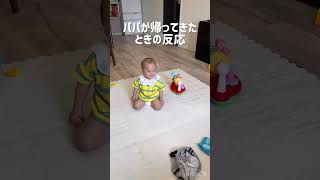 パパが仕事から帰ってきた時の反応　#赤ちゃん #赤ちゃんのいる生活 #baby