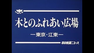 [平成2年4月] 中日ニュース No.1620_1「木とのふれあい広場」