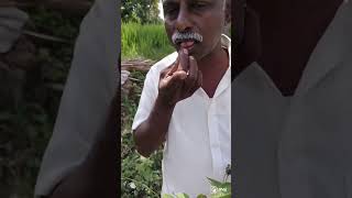 முடி வளராத இடத்தில் முடி வளரும் நம் முன்னோர்களின் கண்டுபிடிப்பு வெளியானது