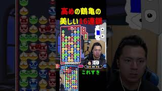 高めの鶴亀の美しい16連鎖【ぷよぷよeスポーツ】#Shorts