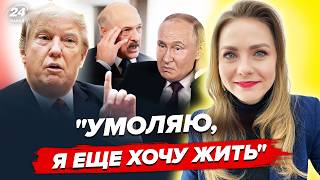 🔥ТЕРМІНОВО! Трамп РОЗІРВАВ РФ. Путін ЛЕДЬ НЕ ПЛАЧЕ (ВІДЕО) Лукашенко ВСЕ. Огляд пропаганди від СОЛЯР